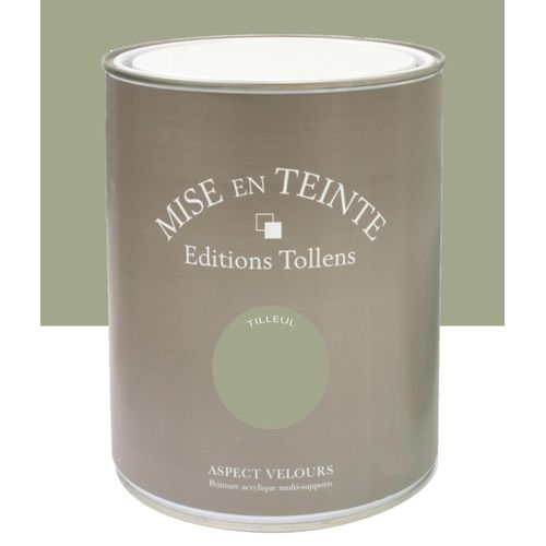 Peinture Tollens Mise en teinte murs, meubles et boiseries vert tilleul 1L